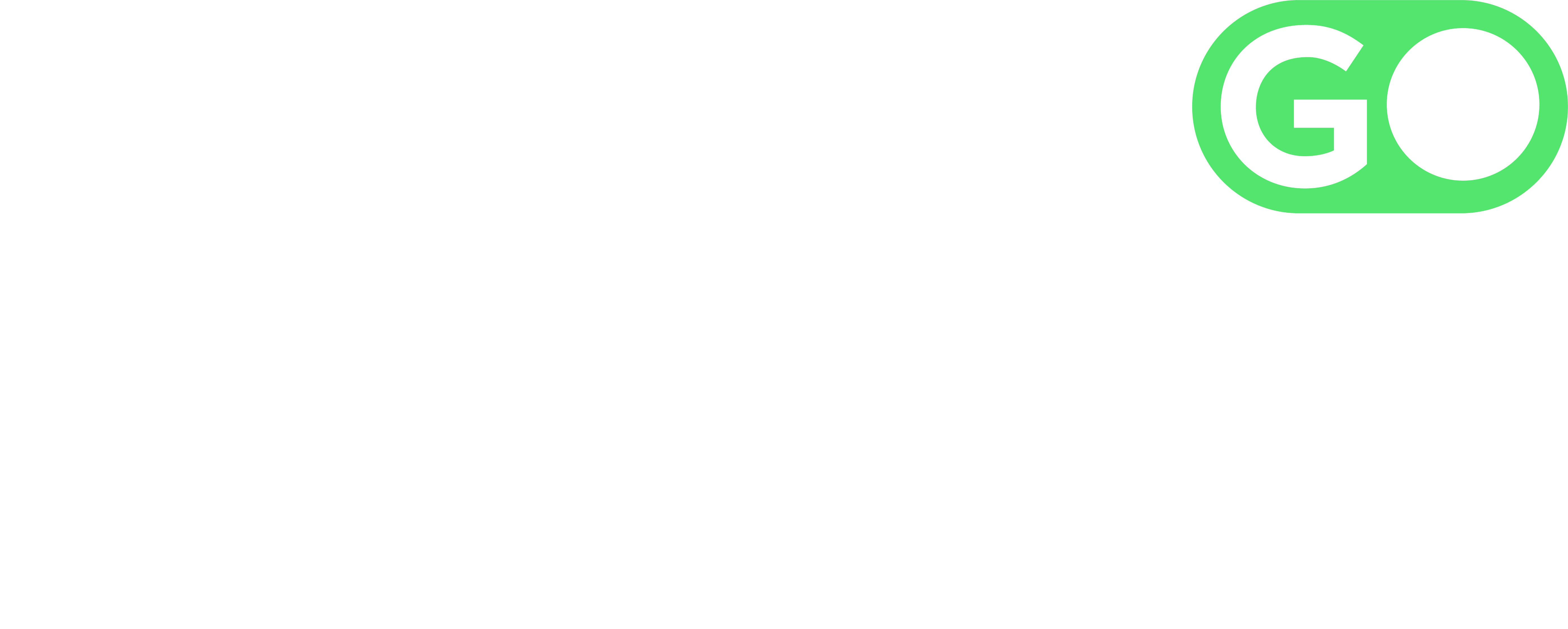 MapGo Logo